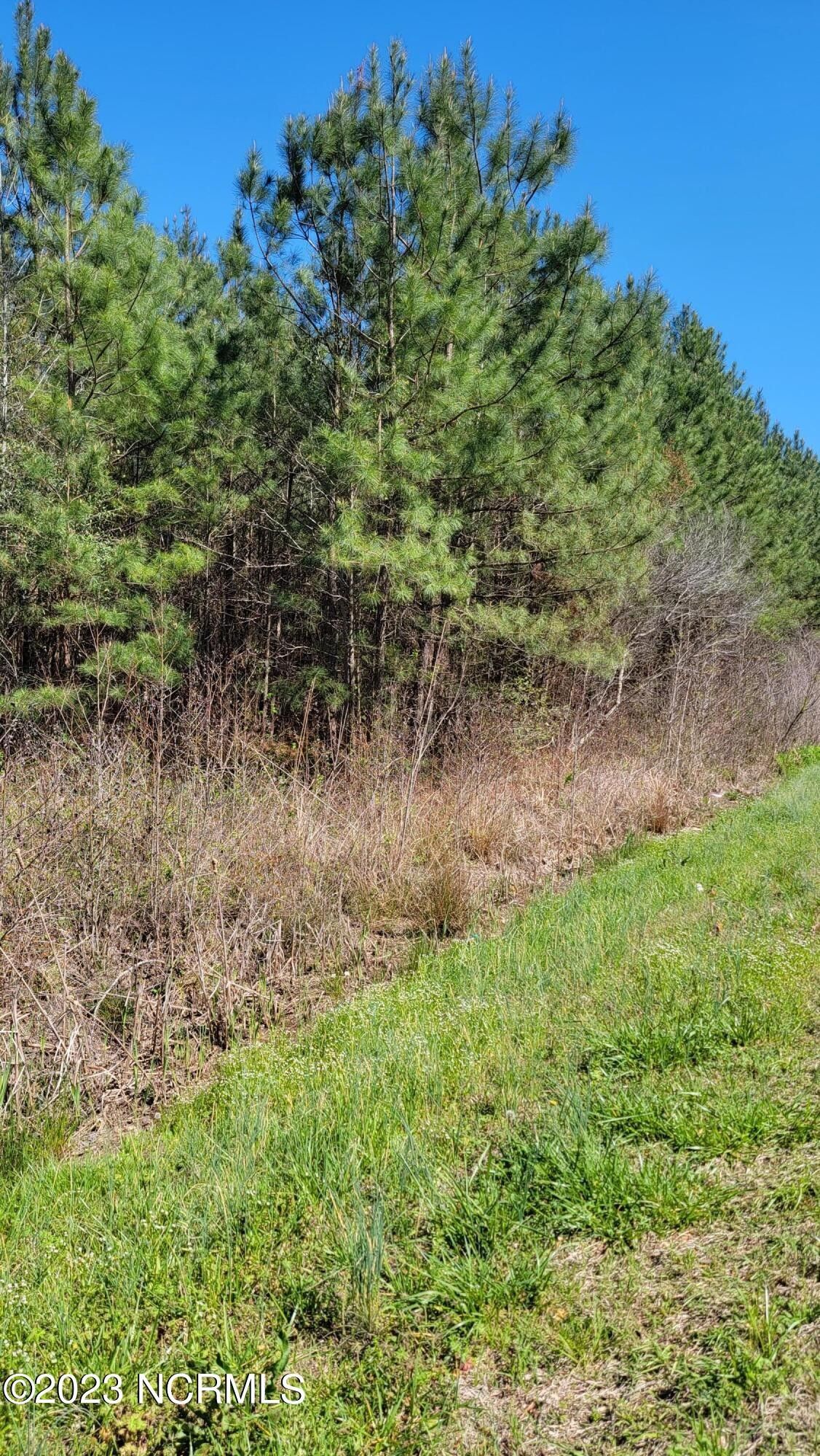 Riegelwood, Bladen County, NC Undeveloped Land, Homesites for sale