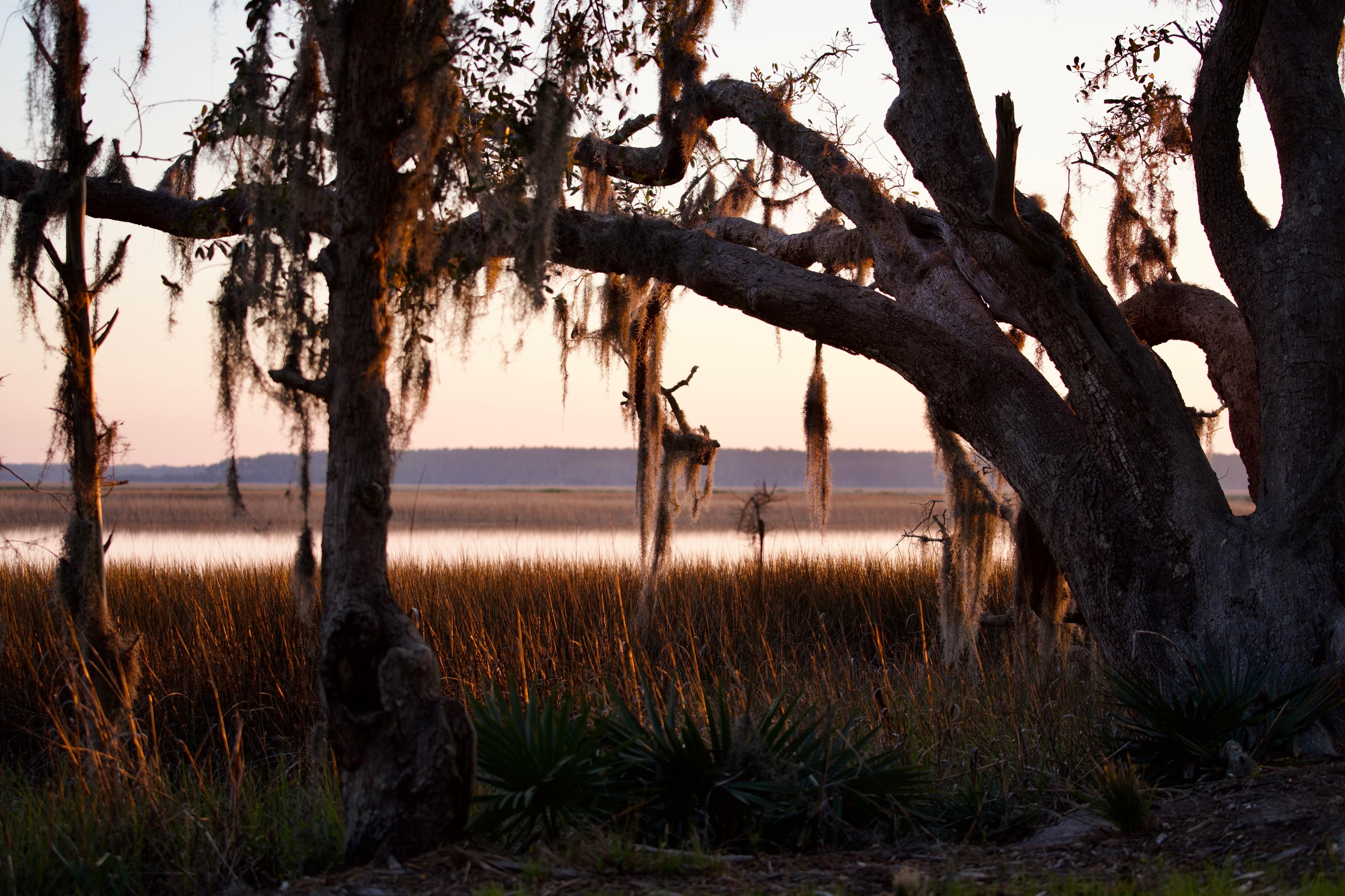 Awendaw, Charleston County, SC Recreational Property, Undeveloped Land