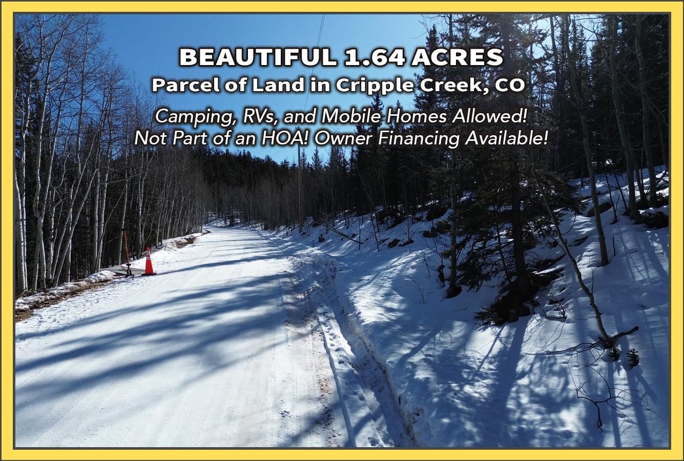 219 Wolftone Dr, Cripple Creek, CO 80813 LandWatch