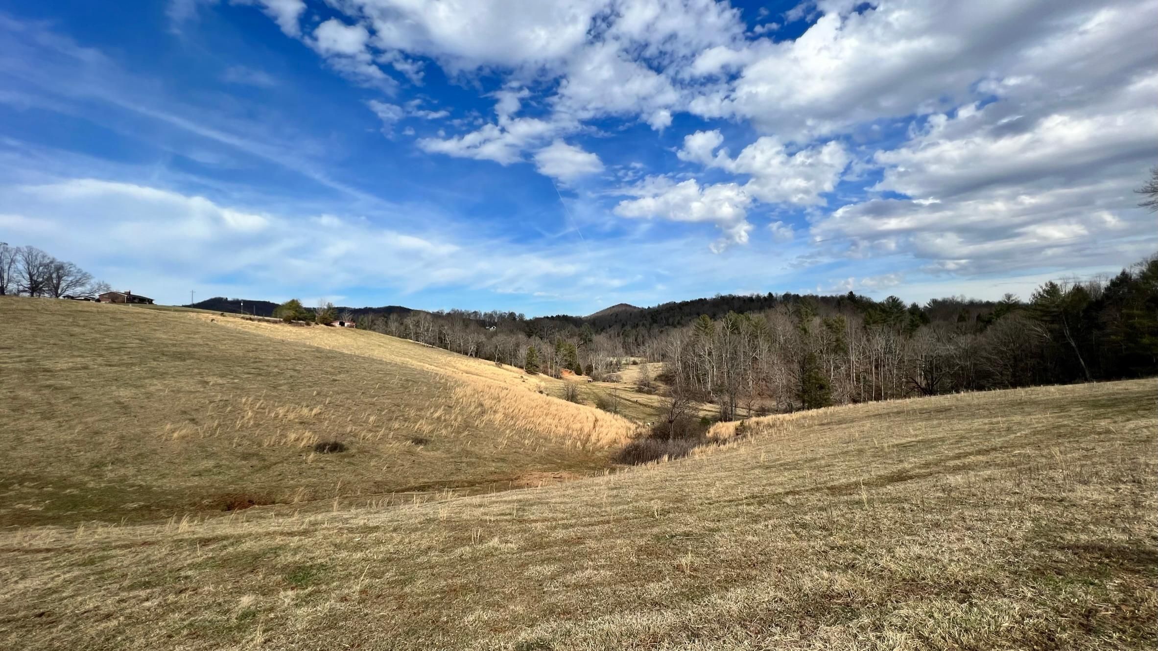 1470 Mountain Valley Church Road, Millers Creek, NC 28651 MLS