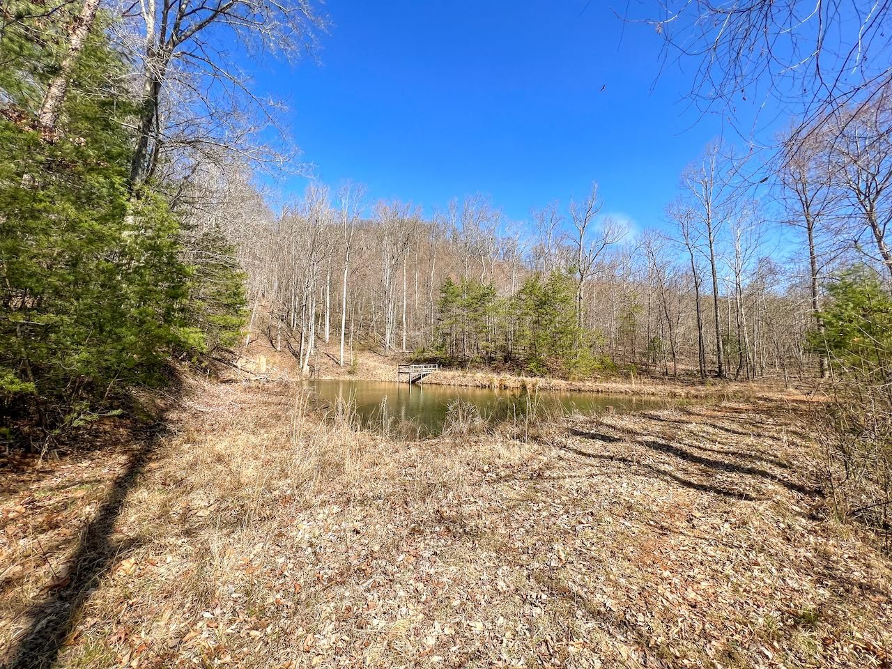 Woolwine, Patrick County, VA Recreational Property, Hunting Property