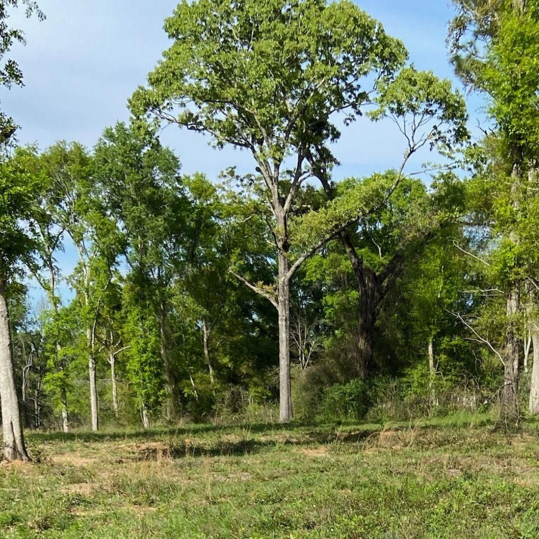 Mobile, Mobile County, AL Recreational Property, Undeveloped Land