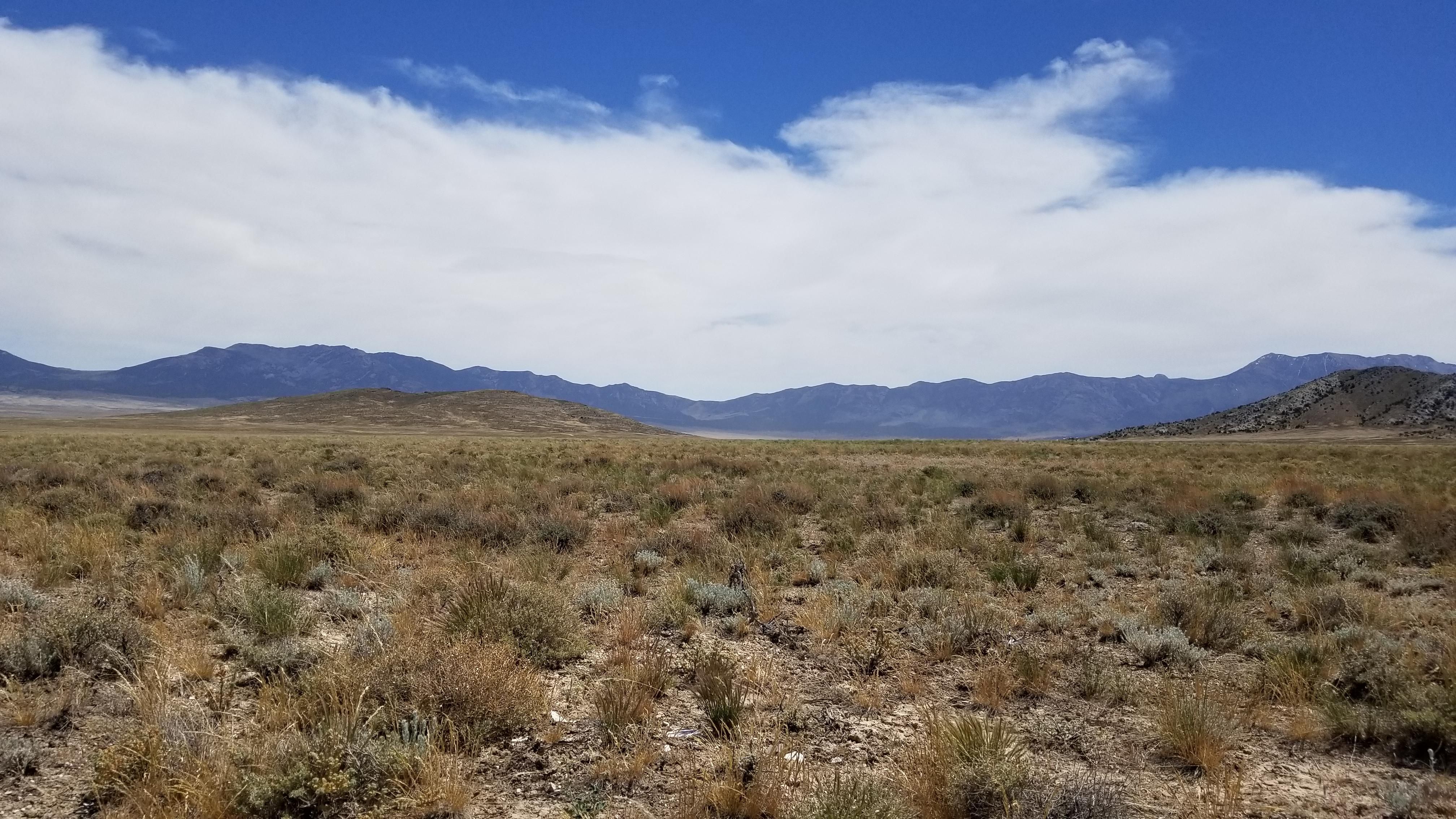 Montello, Elko County, NV Recreational Property, Undeveloped Land, Hunting Property for sale