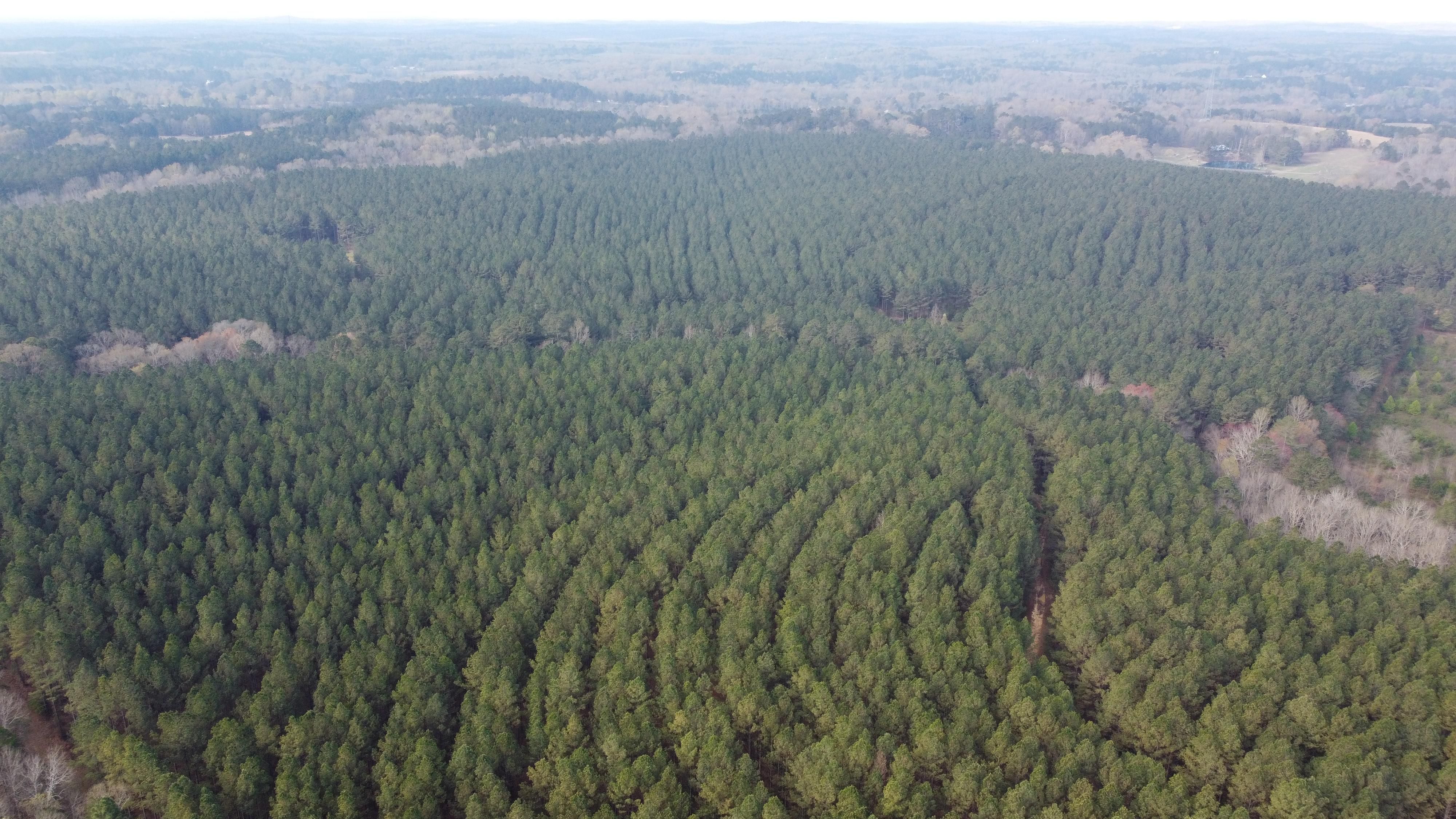 Rome, Floyd County, GA Recreational Property, Timberland Property