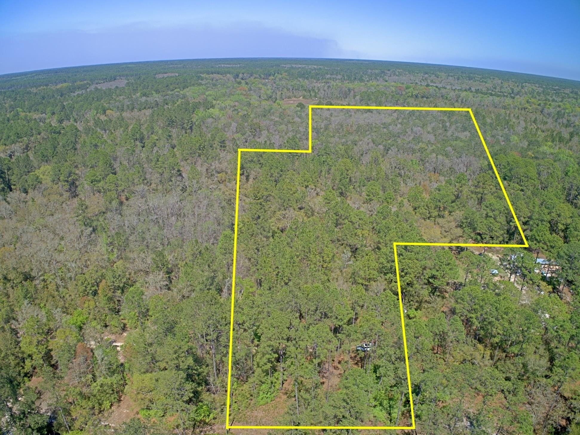 Sopchoppy, Wakulla County, FL Farms and Ranches for sale Property ID