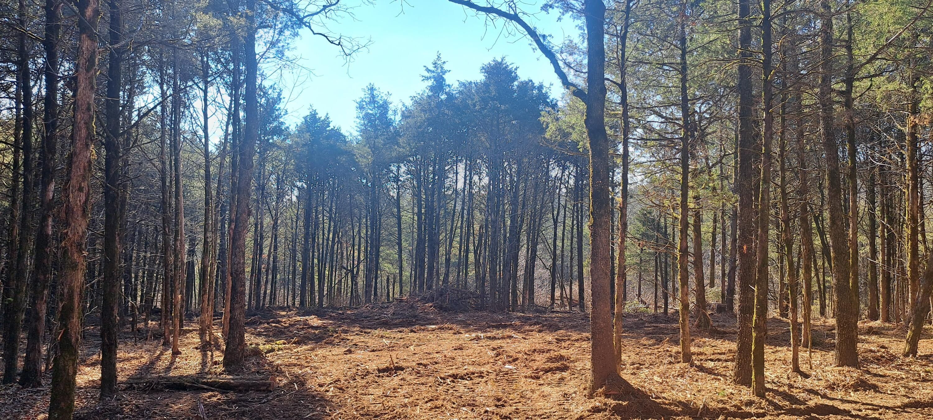 Cecil, Franklin County, AR Undeveloped Land, Homesites for sale