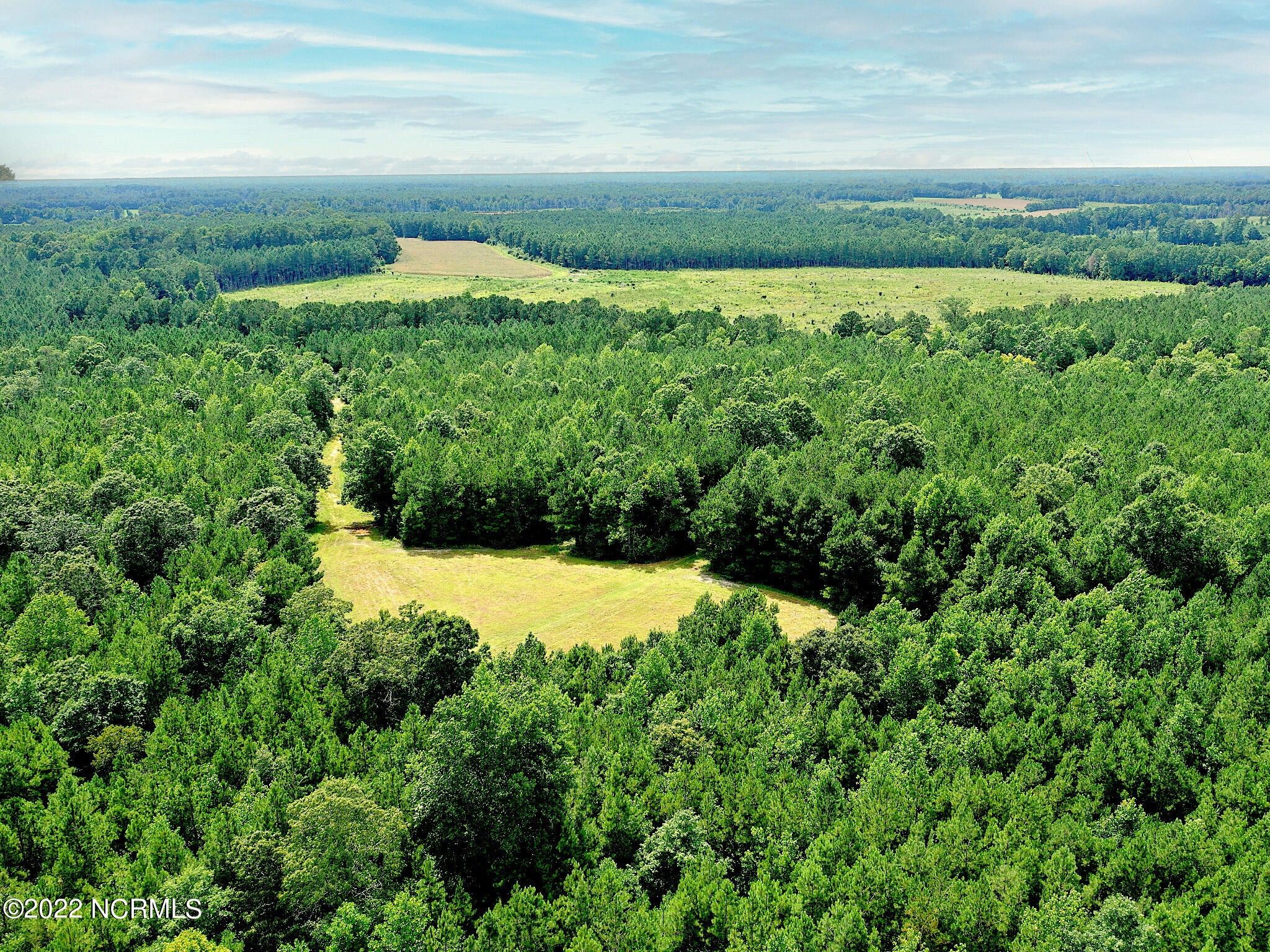 Elizabethtown, Bladen County, NC Farms and Ranches for sale Property ID