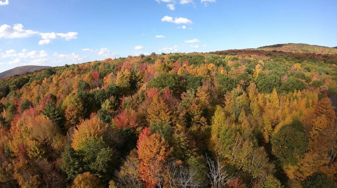 Roxbury, Delaware County, NY Recreational Property, Undeveloped Land