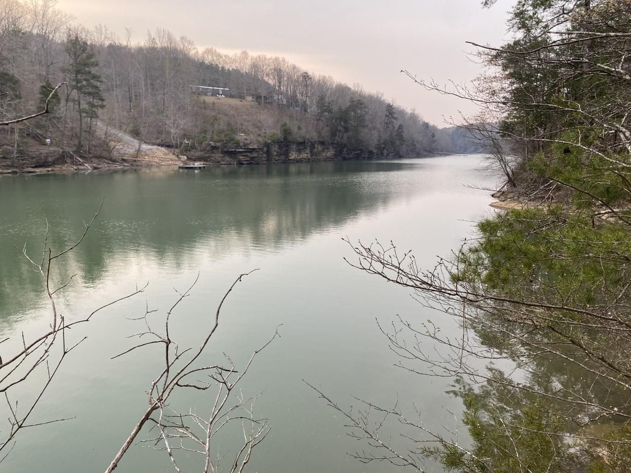 County Road 128, Arley, AL 35541 MLS 222001 LandWatch