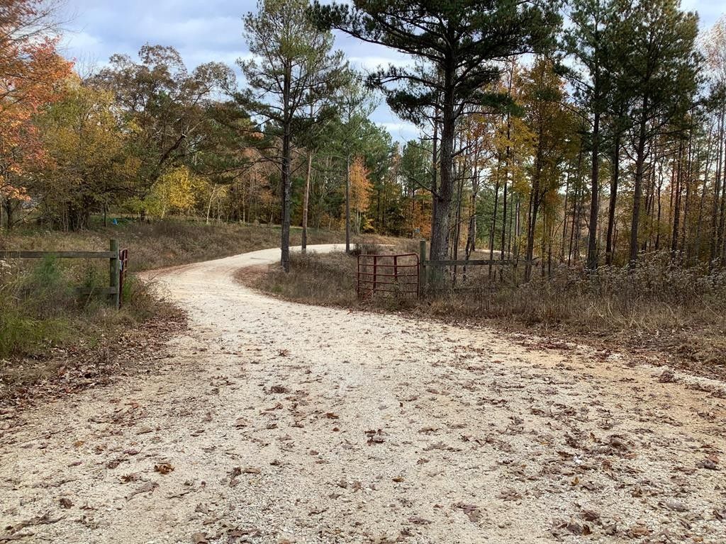 Paris, Henry County, TN Recreational Property, Hunting Property for