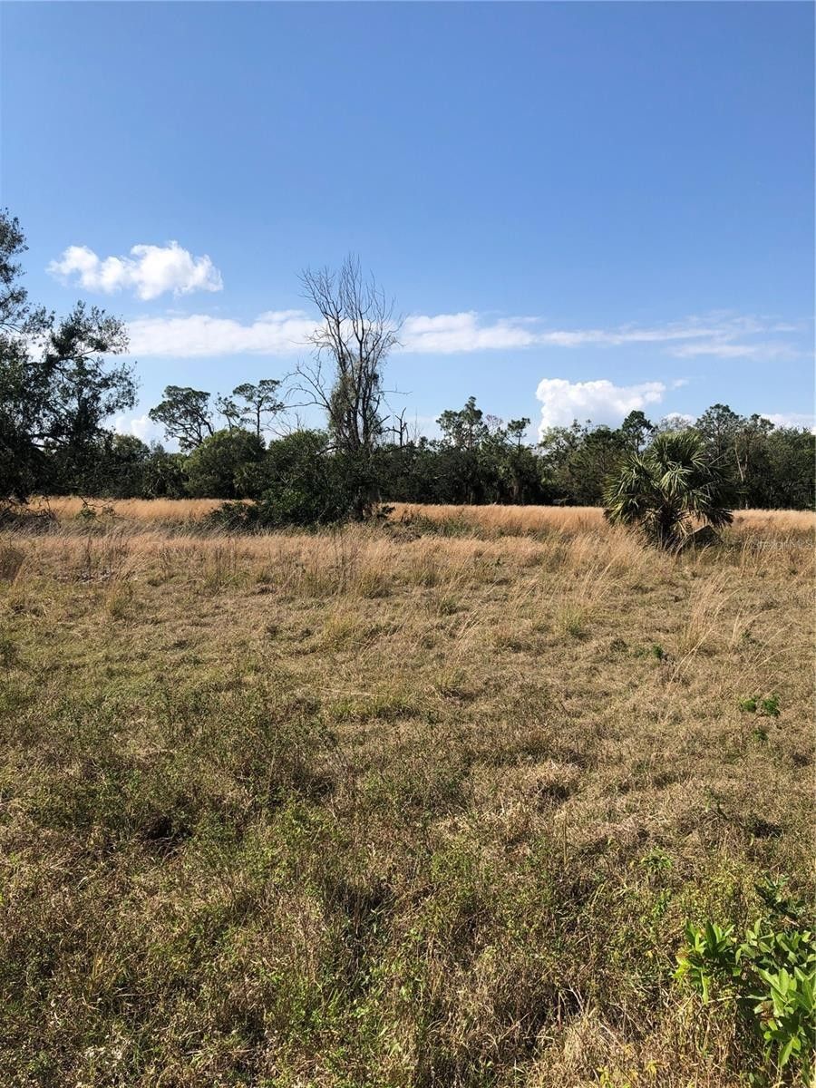 Arcadia, DeSoto County, FL Farms and Ranches, Homesites for sale Property ID 416060796 LandWatch
