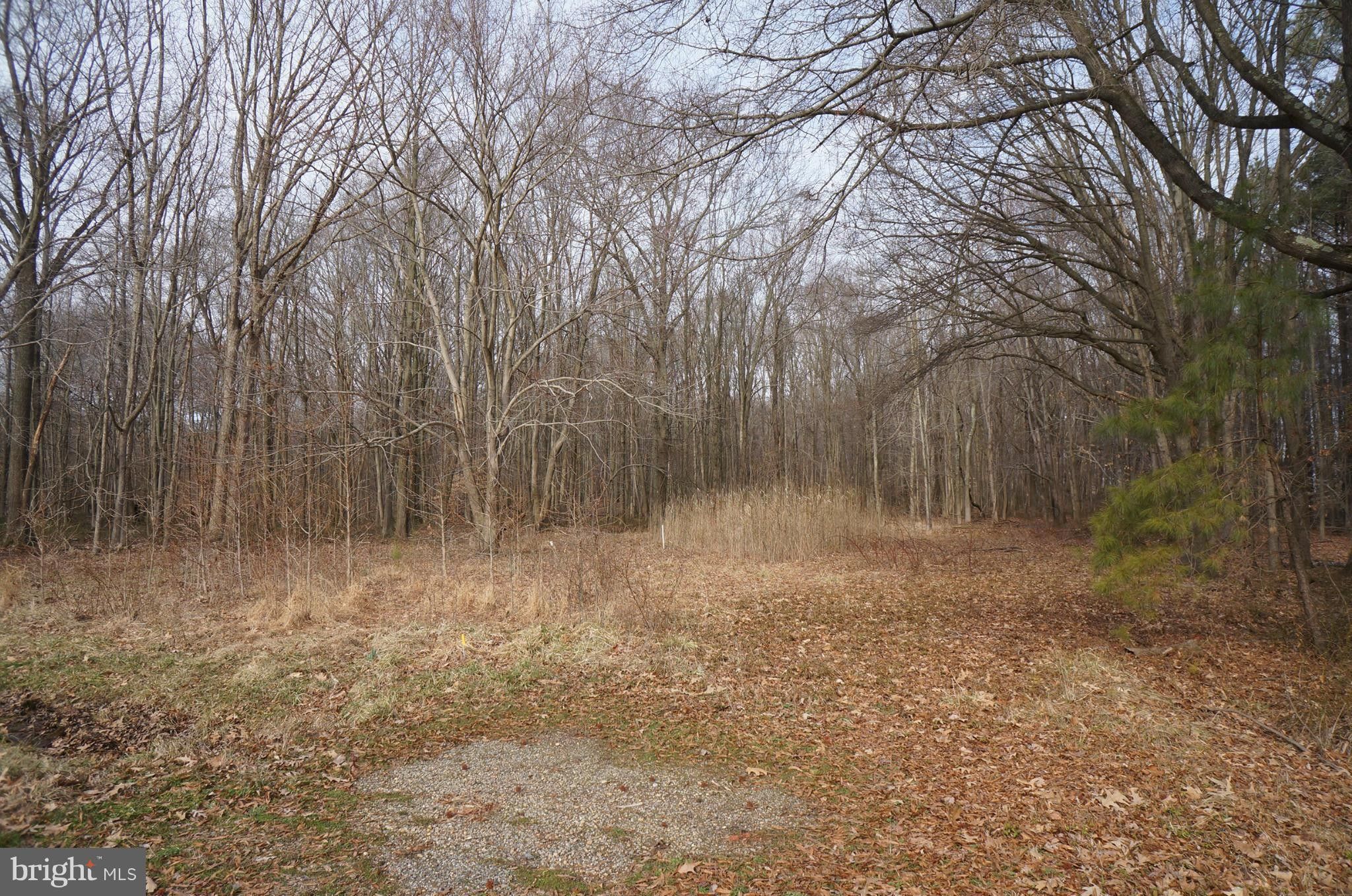 9048 ROAD, Chestertown, MD 21620 MLS MDKE2002504 LandWatch