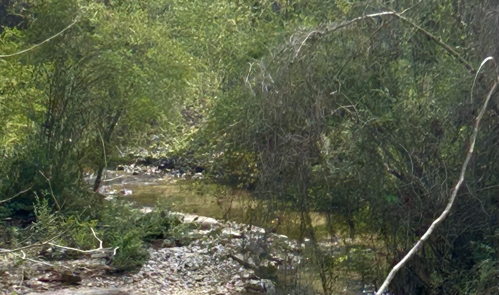 Notasulga, Macon County, AL for sale Property ID 415794997 LandWatch