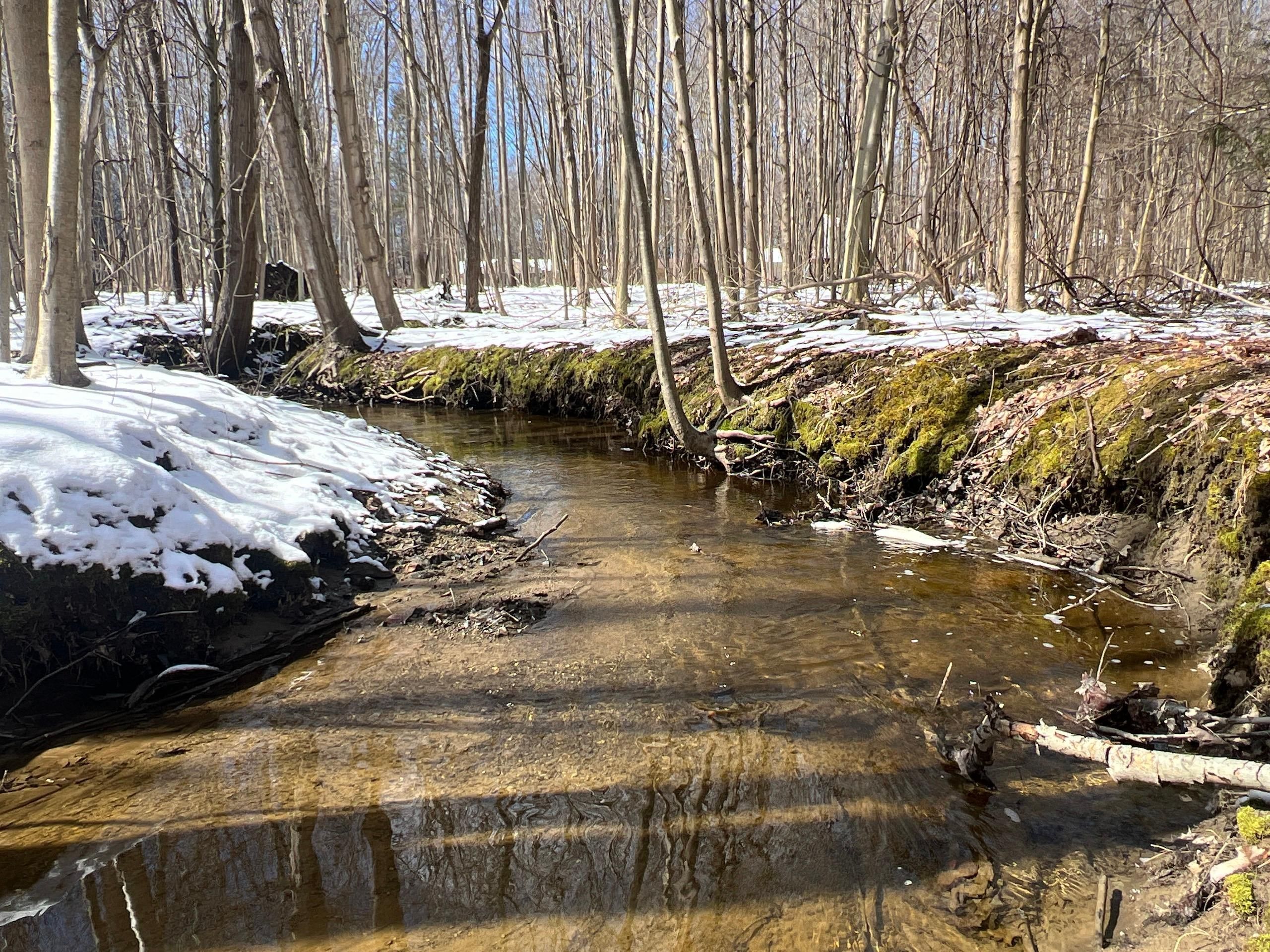 Conneaut, Ashtabula County, OH Recreational Property, Timberland