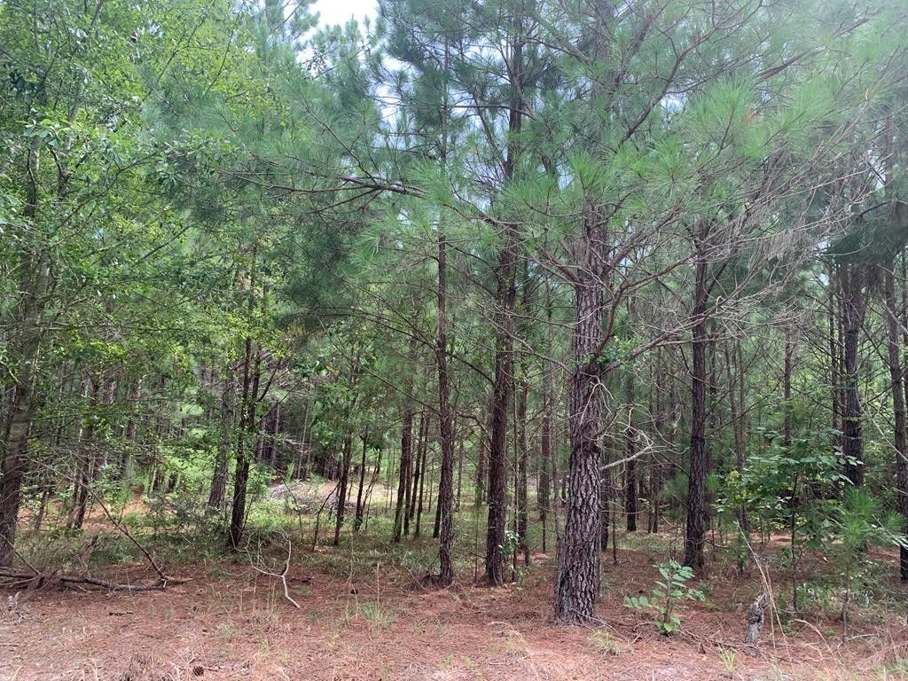 0000 Rabbit Den Rd, Rembert, SC 29128 MLS 156422 LandWatch