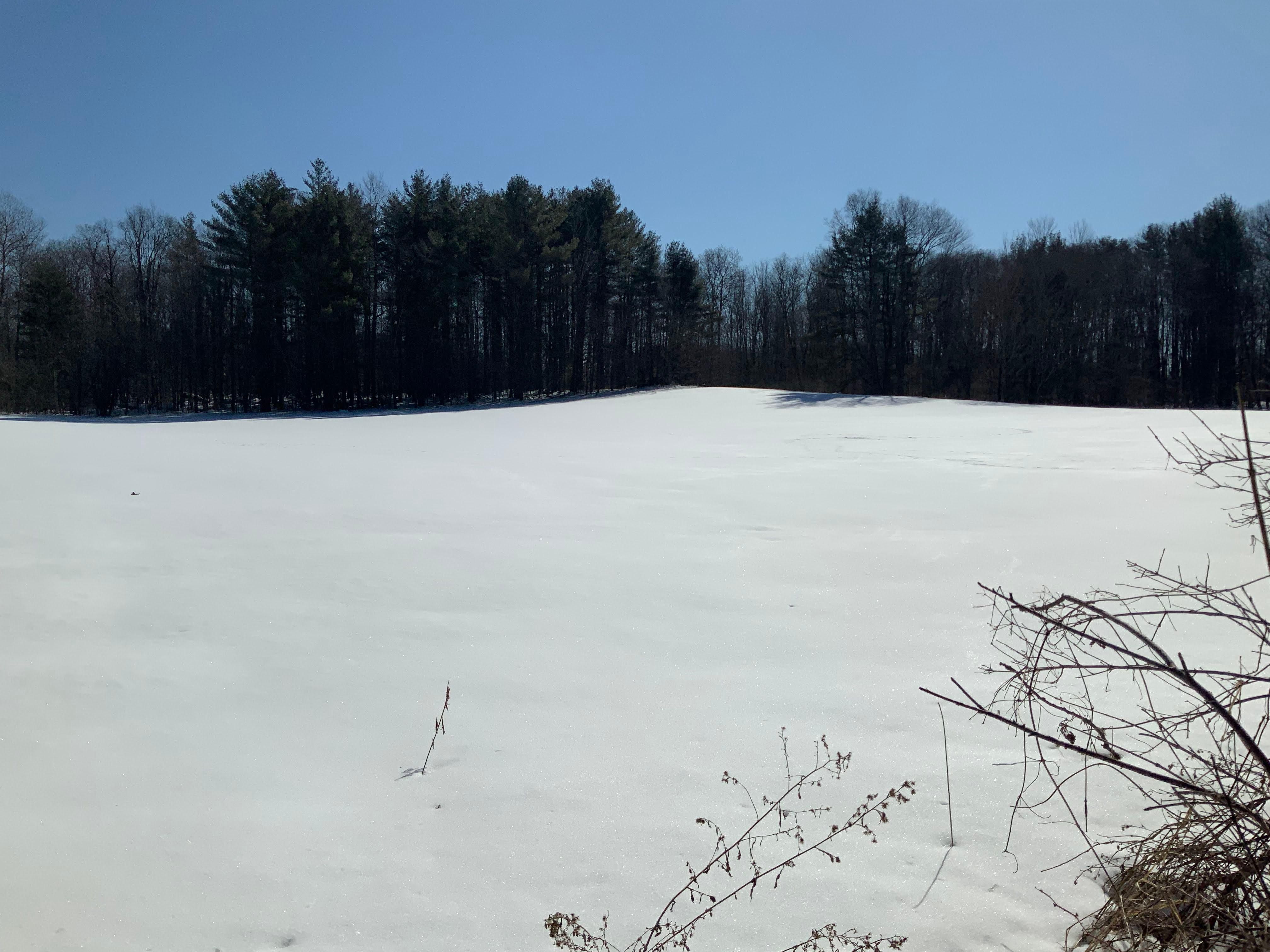 Hoffman Rd, Oppenheim, NY 13452 MLS 11162476 LandWatch