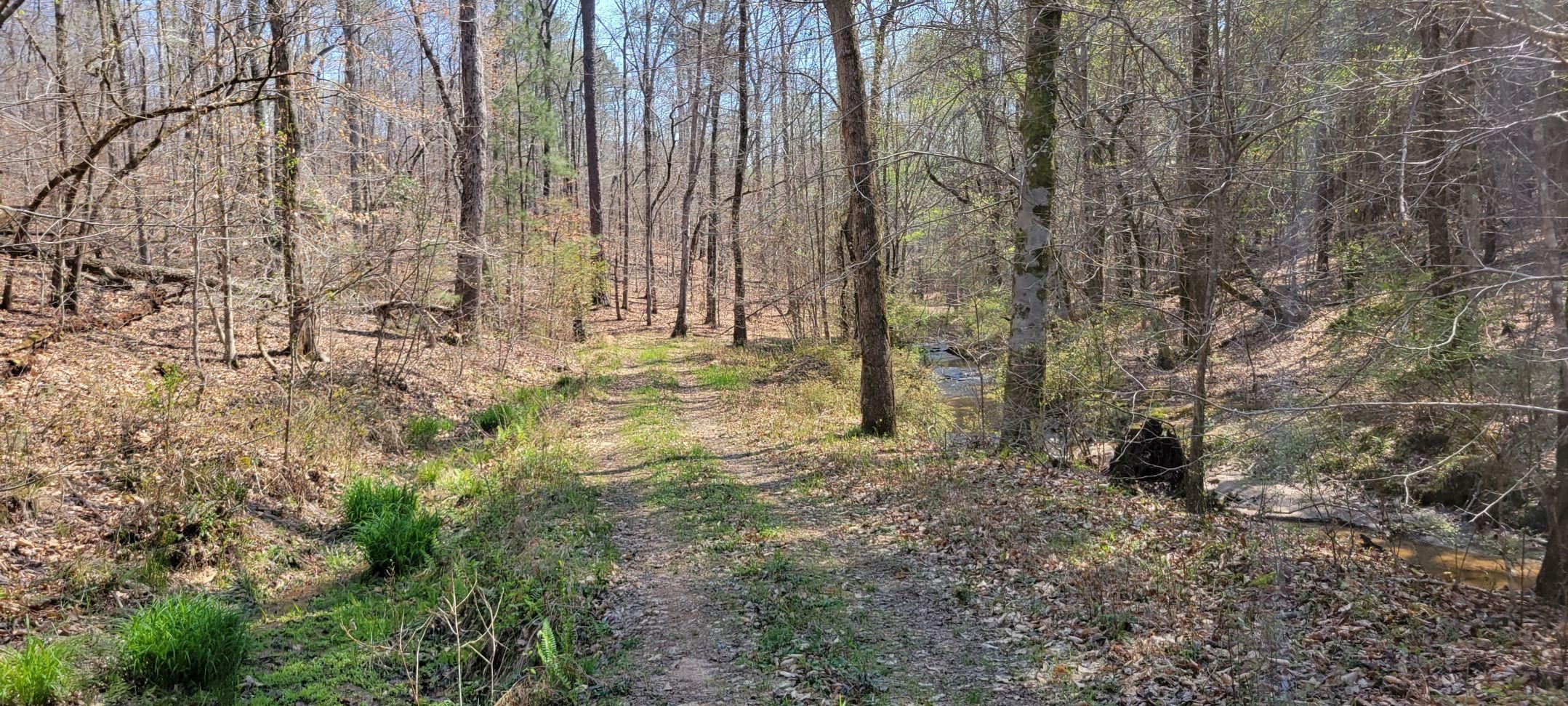 Hissop, Coosa County, AL Recreational Property, Timberland Property