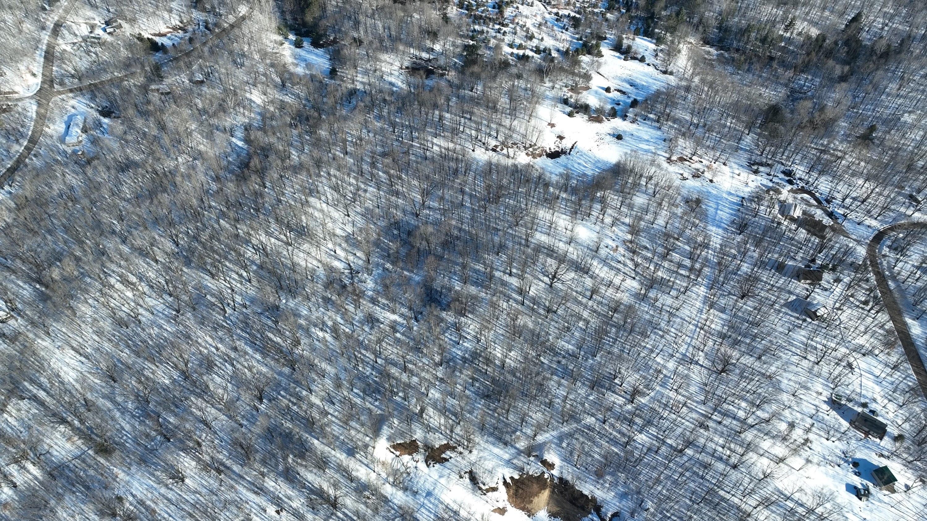 Leroy, Osceola County, MI Undeveloped Land for sale Property ID