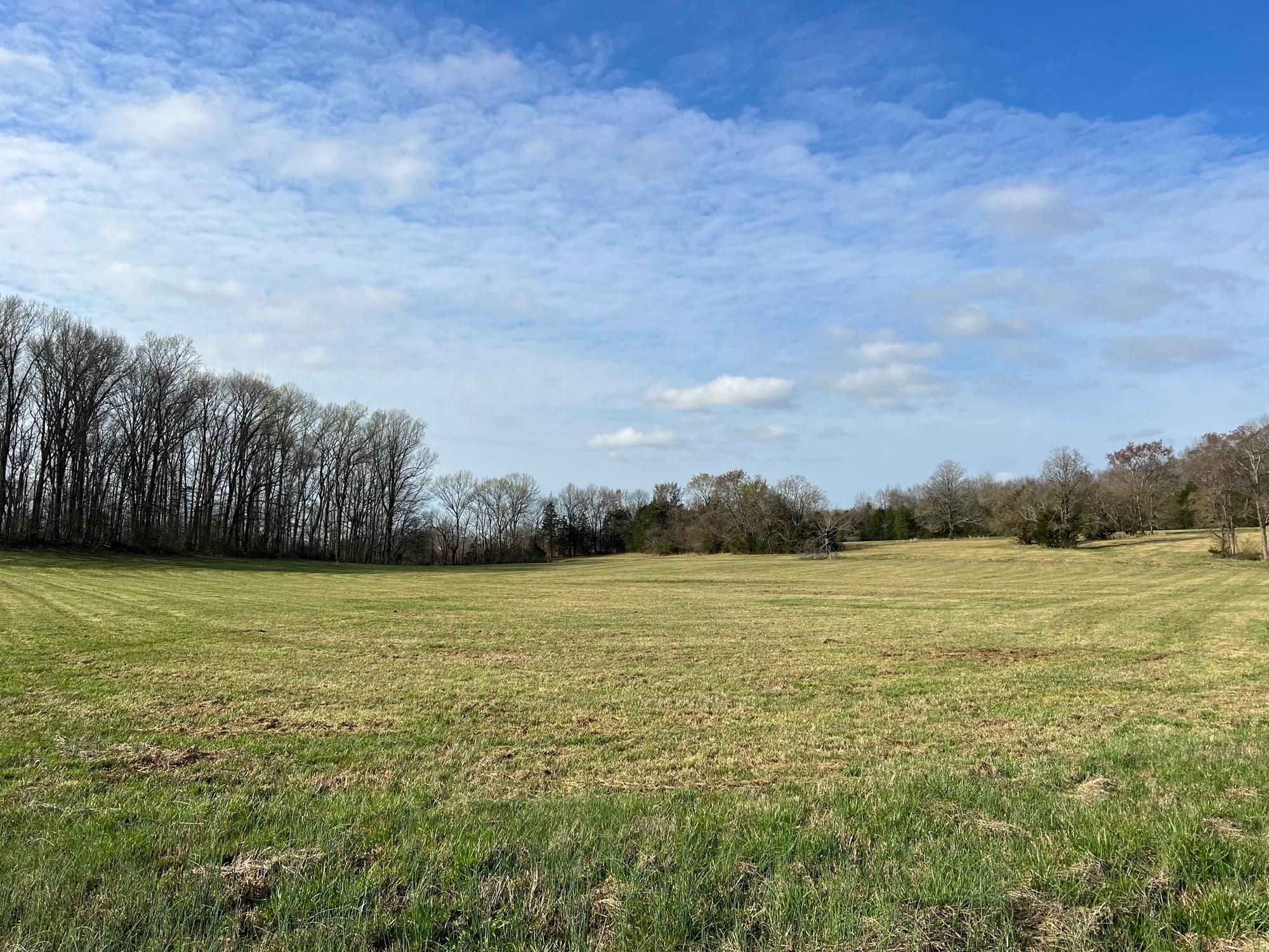 Milton, Rutherford County, TN Undeveloped Land for auction Property ID