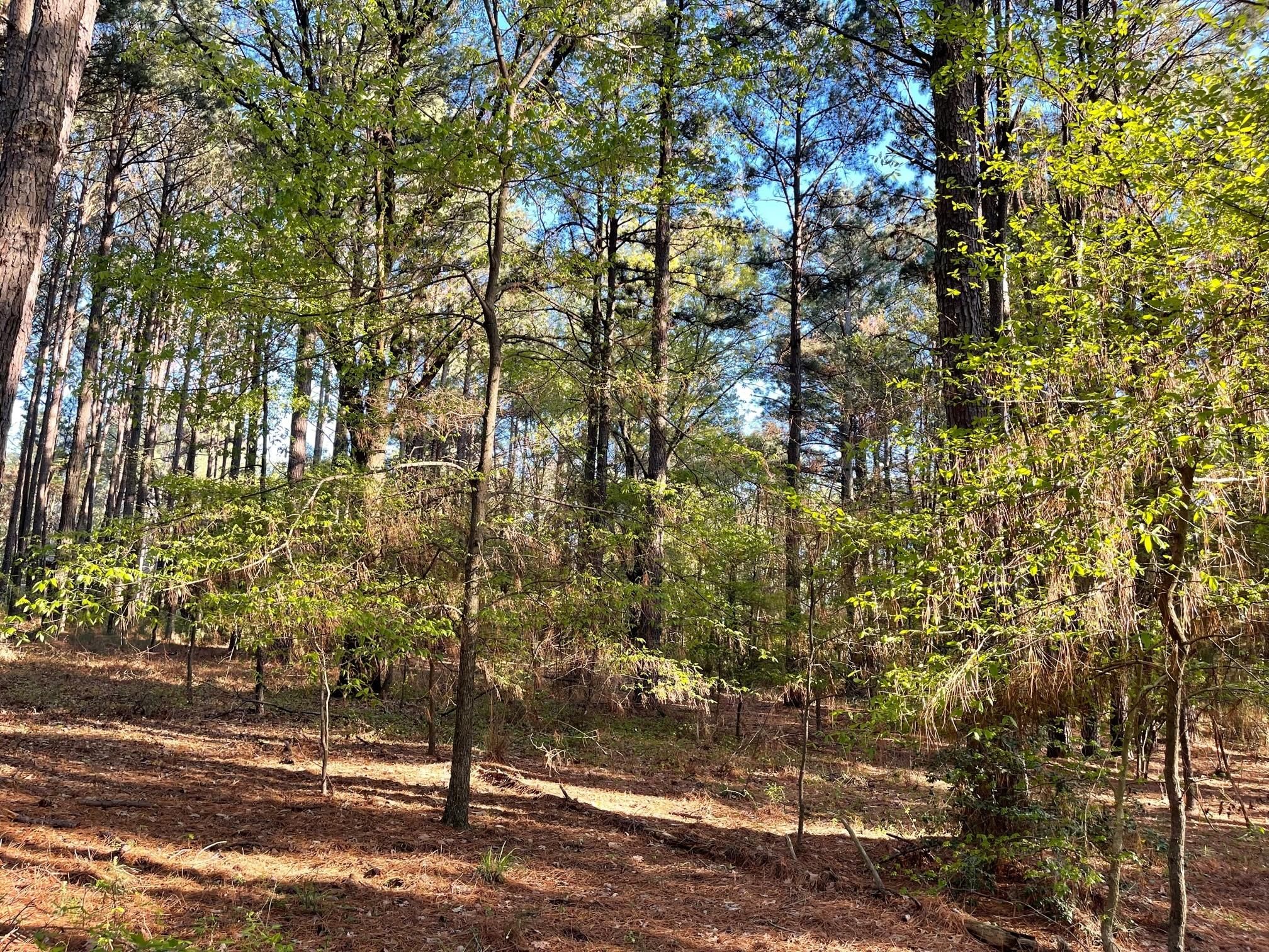 Athens, Henderson County, TX for sale Property ID 416013030 LandWatch