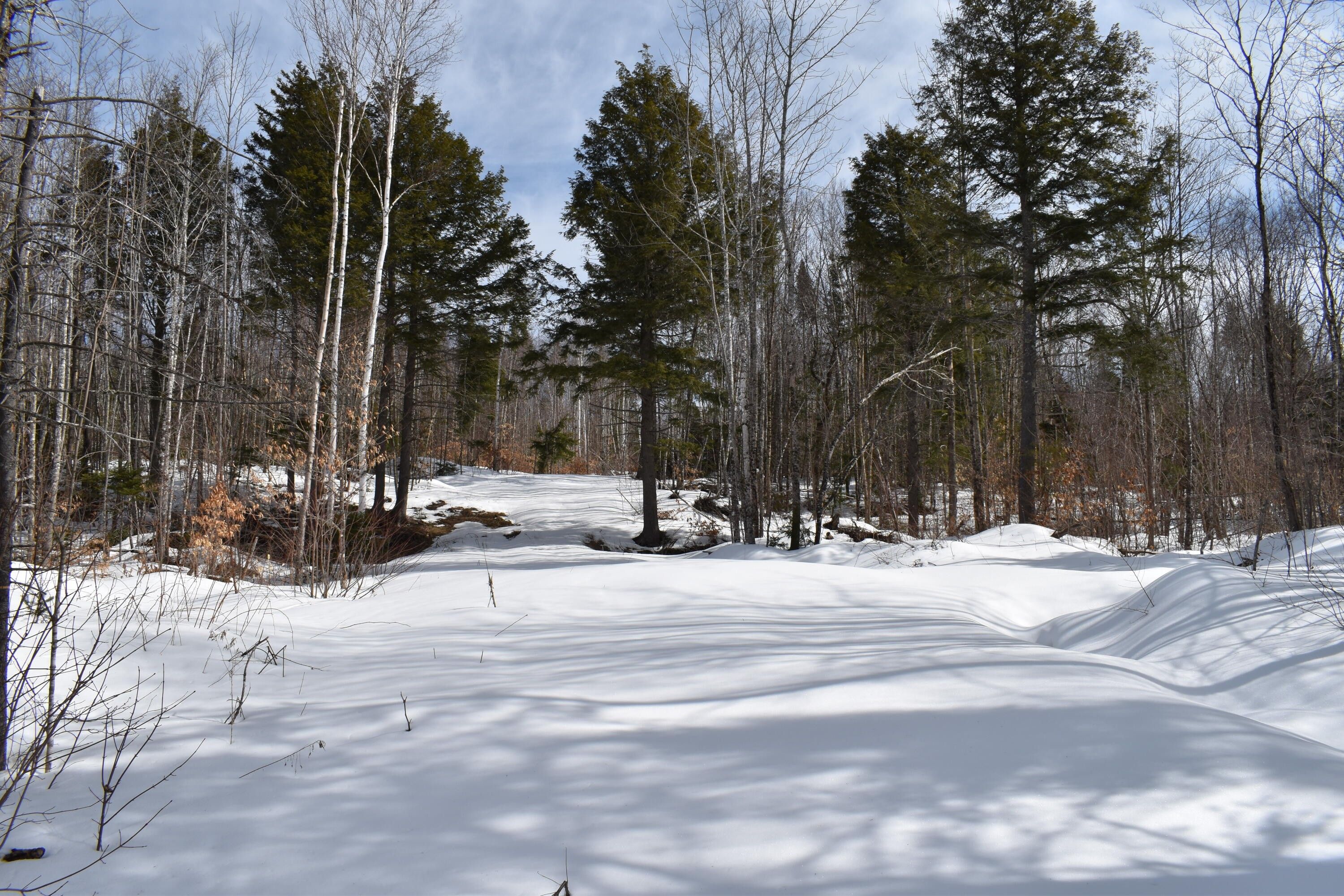 Lakeville, Penobscot County, ME Undeveloped Land for sale Property ID