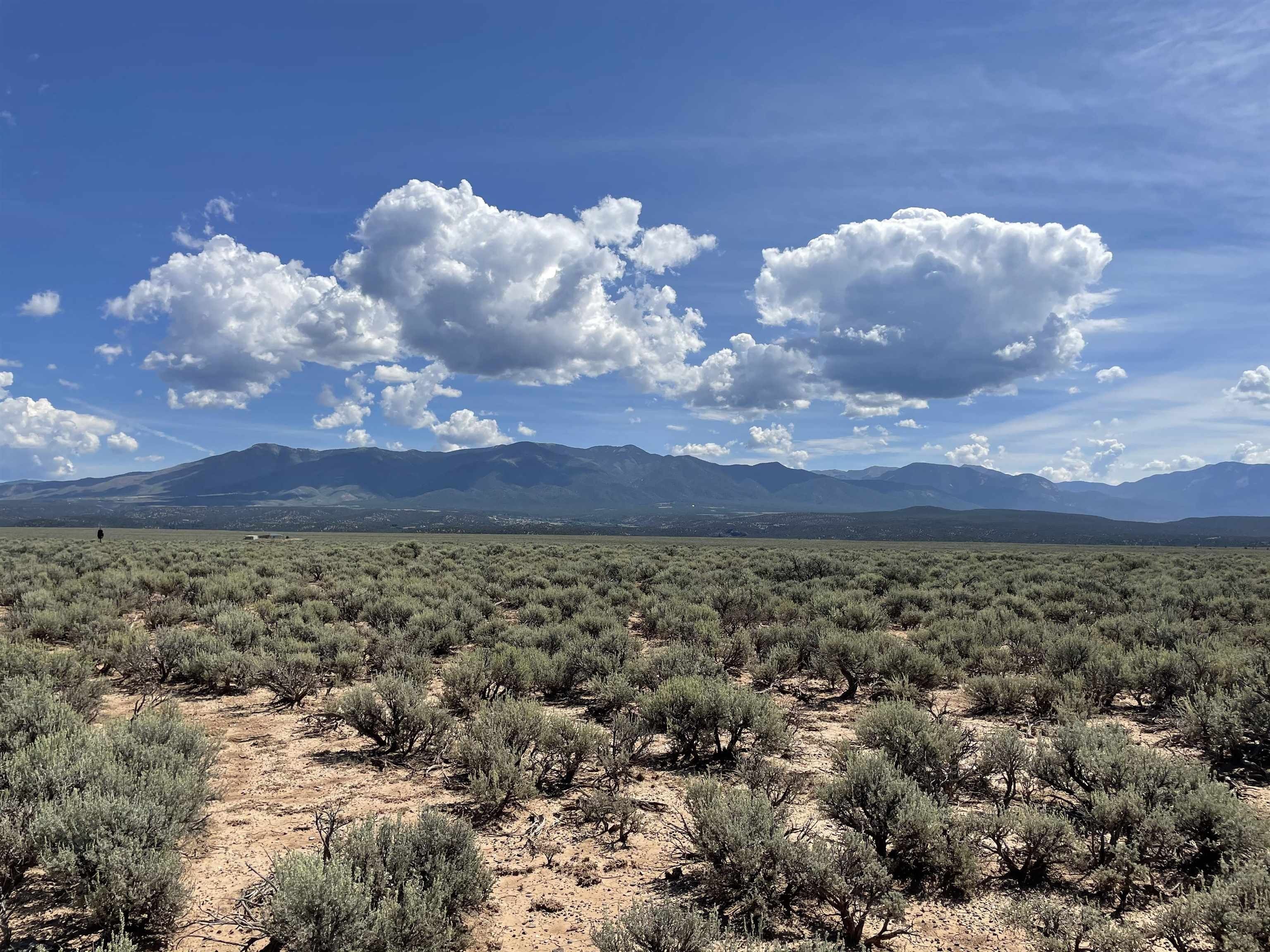 El Prado, Taos County, NM Undeveloped Land for sale Property ID