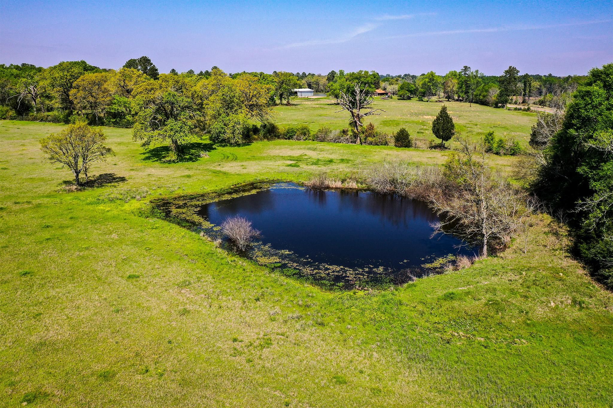 15.42 Acres FM 247, Midway, TX 75852 MLS 17652978 LandWatch