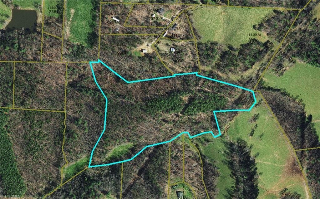 Lowndesville, Abbeville County, SC Undeveloped Land for sale Property