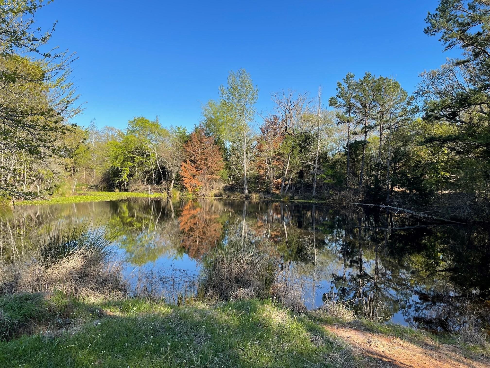 Brownsboro, Henderson County, TX Recreational Property for sale