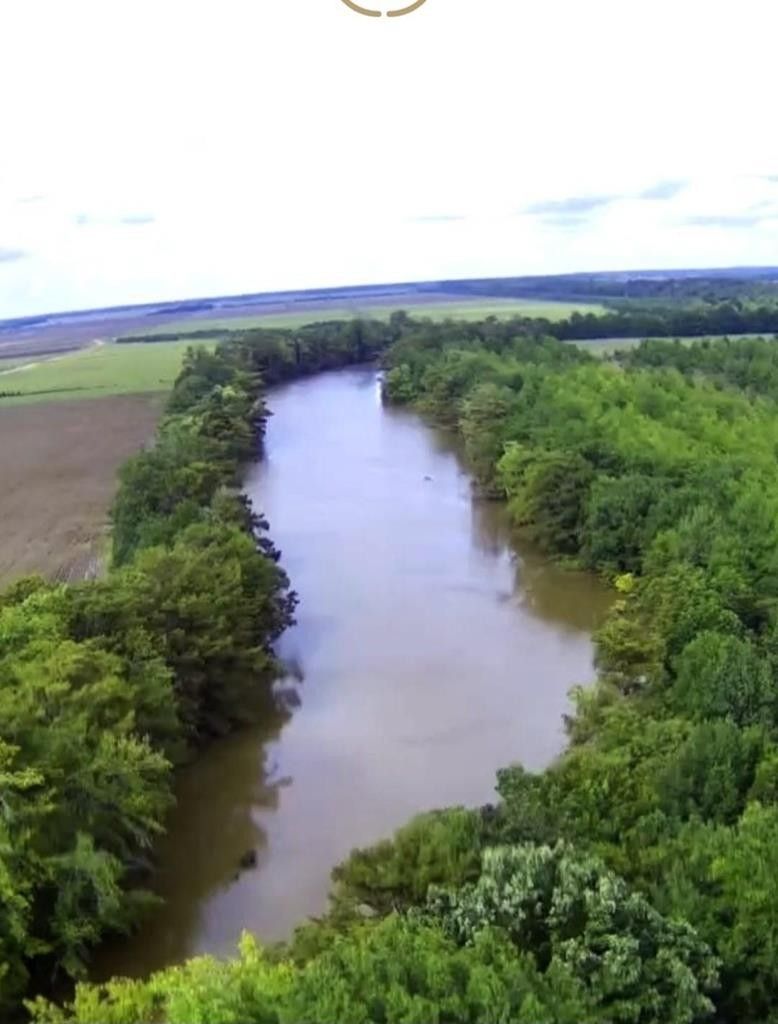 Sardis, Panola County, MS Undeveloped Land, Lakefront Property