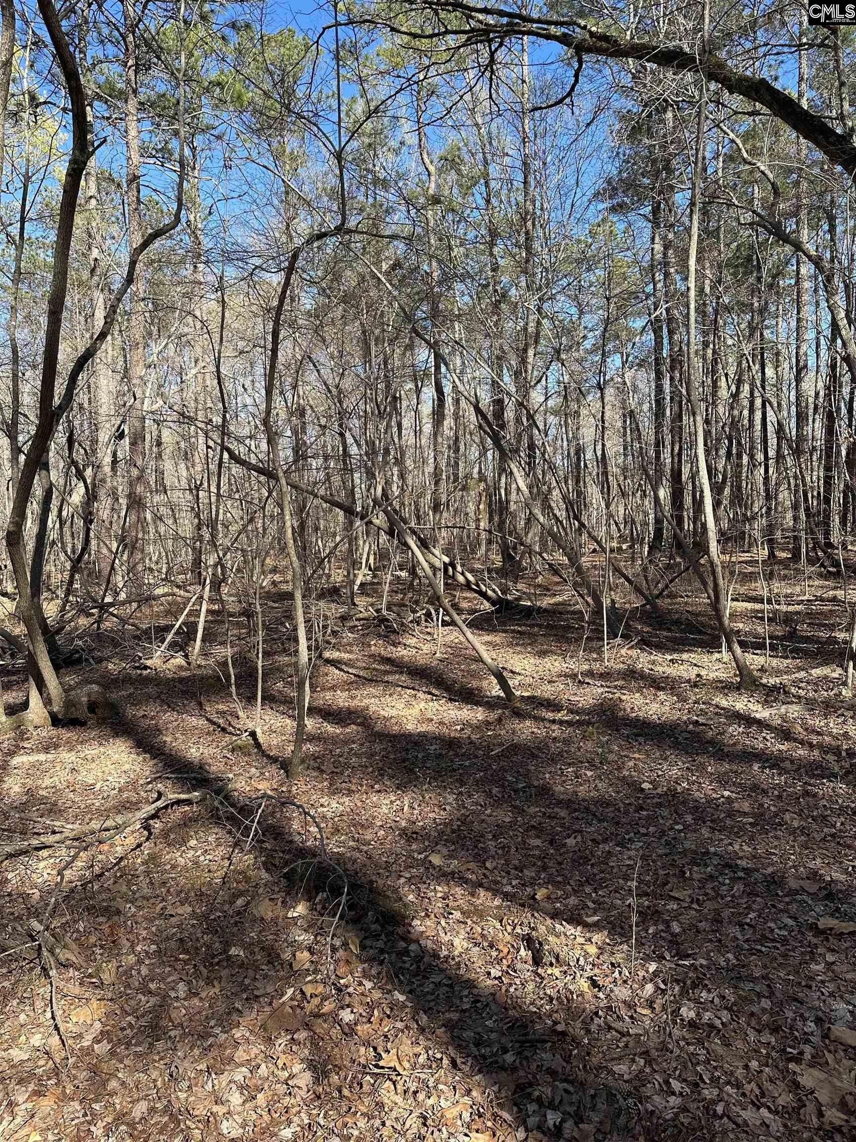 Blythewood, Richland County, SC Farms and Ranches, Homesites for sale Property ID 416072571