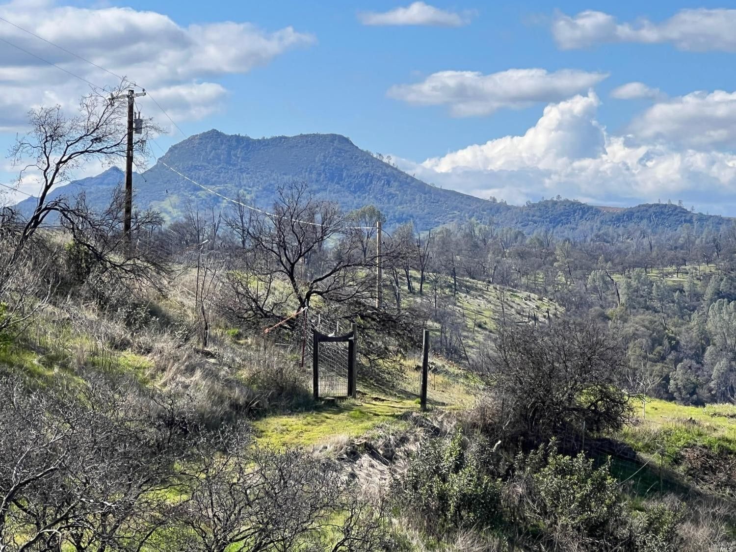 Pope Valley, Napa County, CA House for sale Property ID 413231371