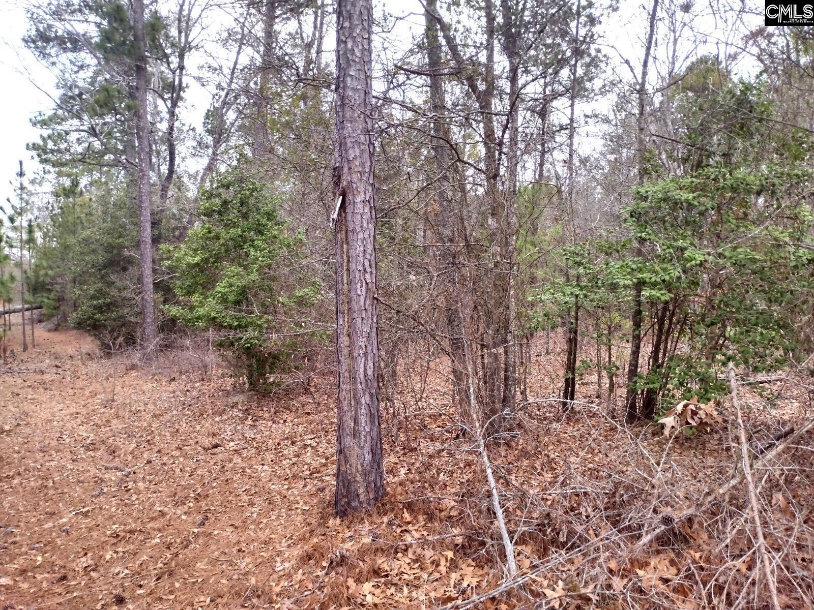 2243B Mill Creek Road , Bethune, SC 29009 MLS 558876 LandWatch