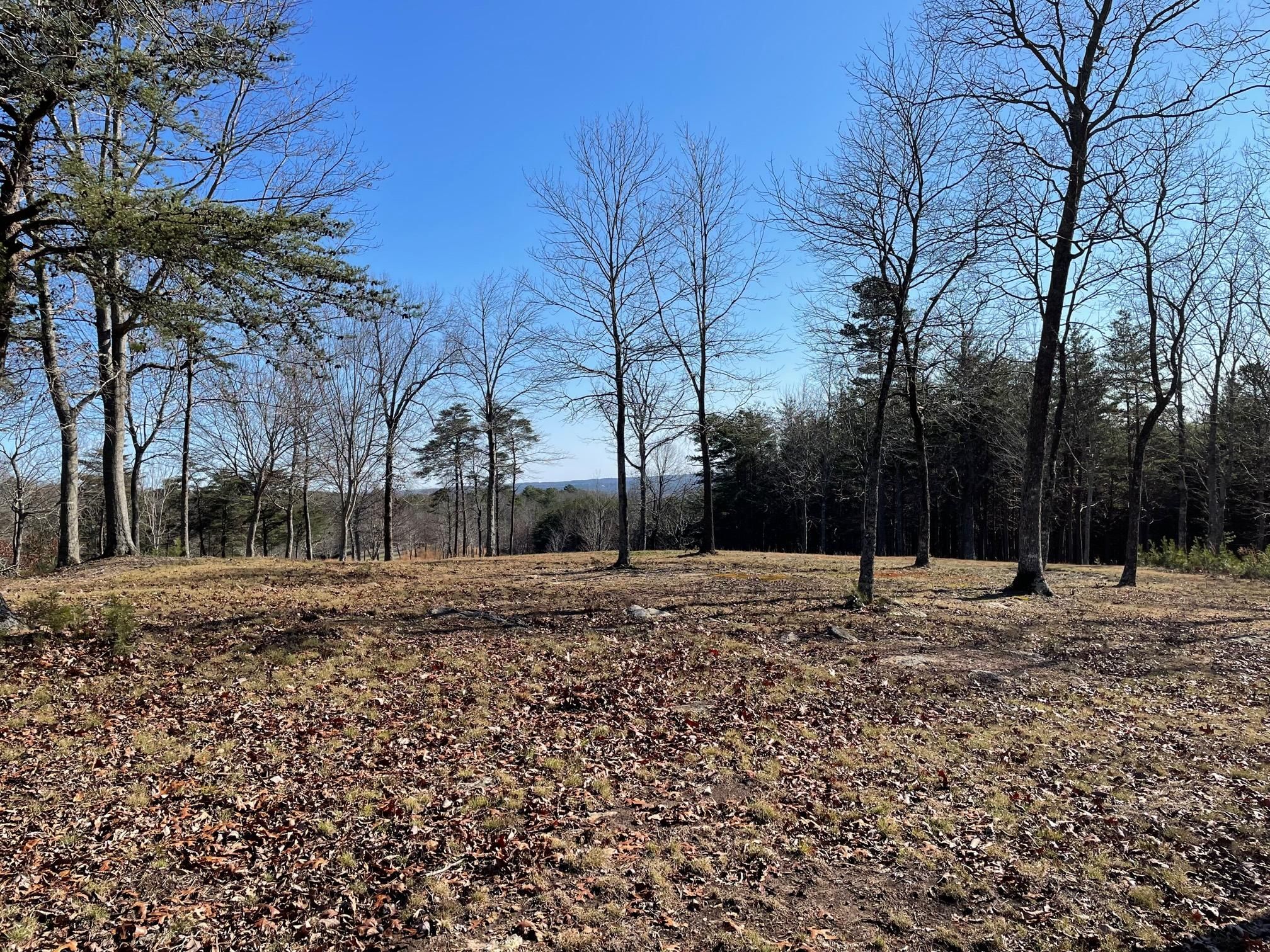 Dry Pond Road, Waleska, GA 30183 MLS 7190009 LandWatch