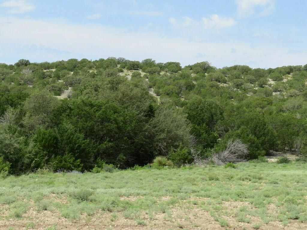 Rocksprings, Edwards County, TX Farms and Ranches, Recreational