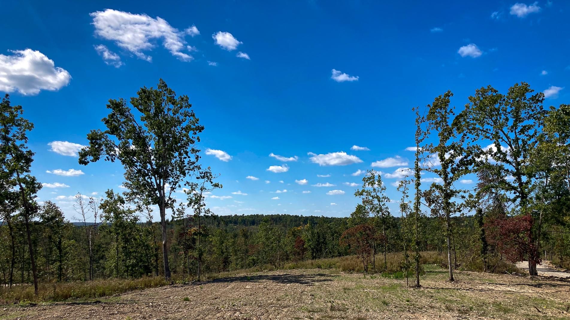Thomasville, Oregon County, MO Recreational Property, Hunting Property