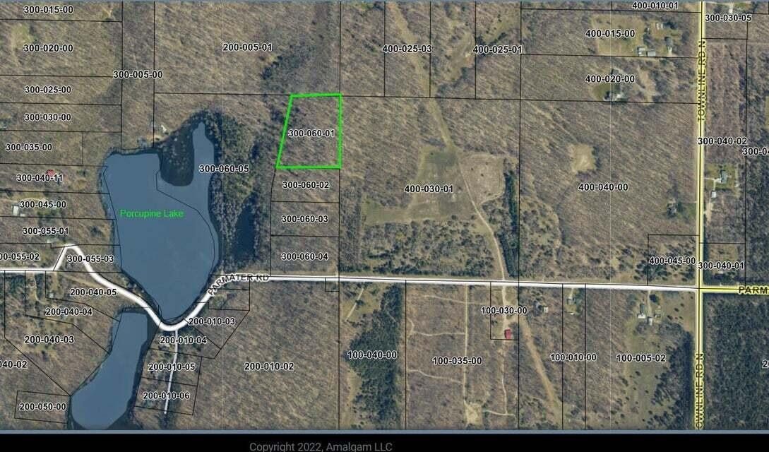 Gaylord, Otsego County, MI Undeveloped Land, Lakefront Property