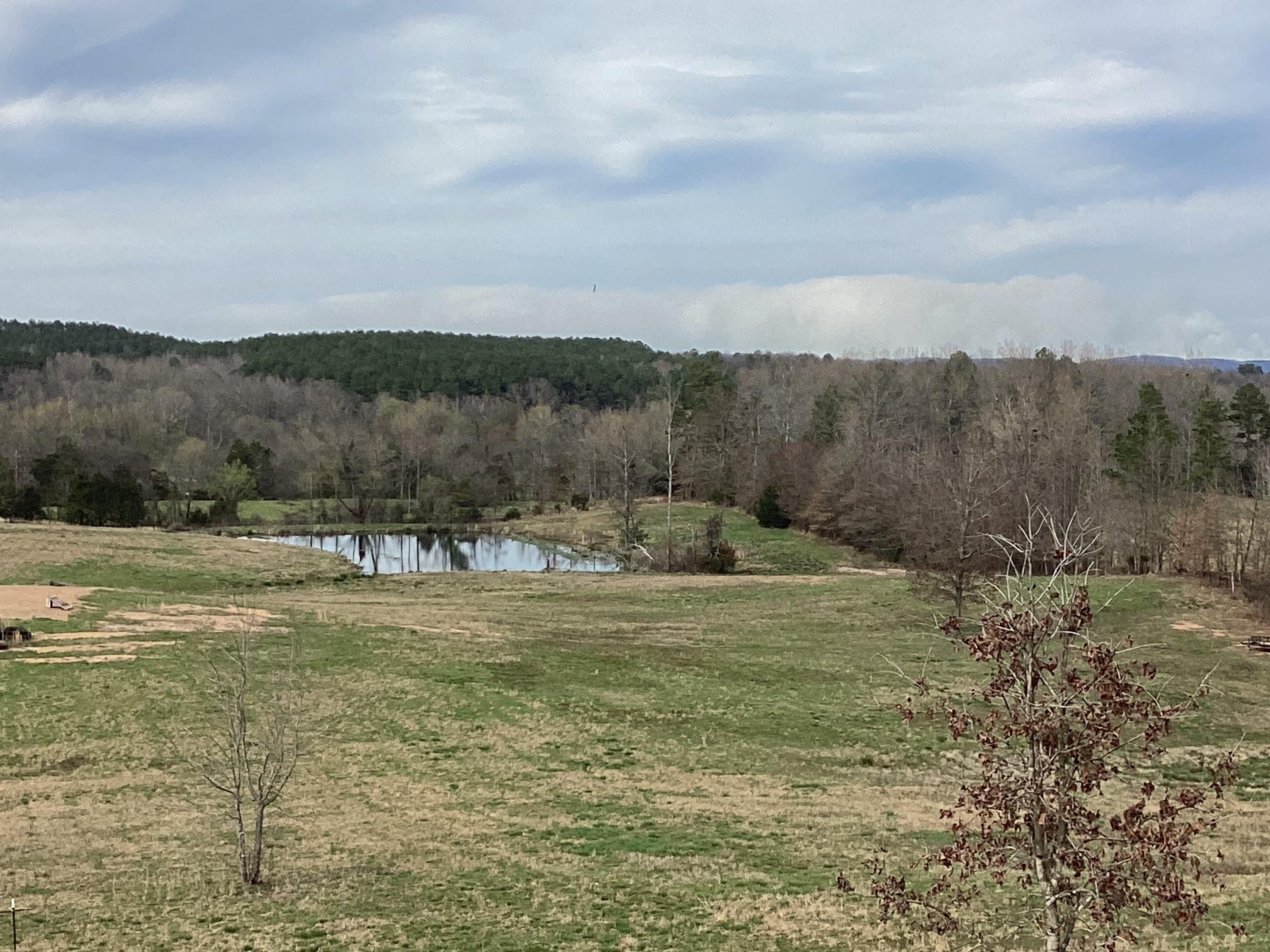 Caddo Gap, Montgomery County, AR Recreational Property, Hunting