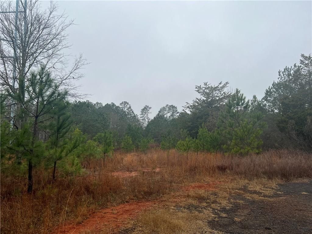Barnesville, Lamar County, GA Undeveloped Land, Homesites for sale