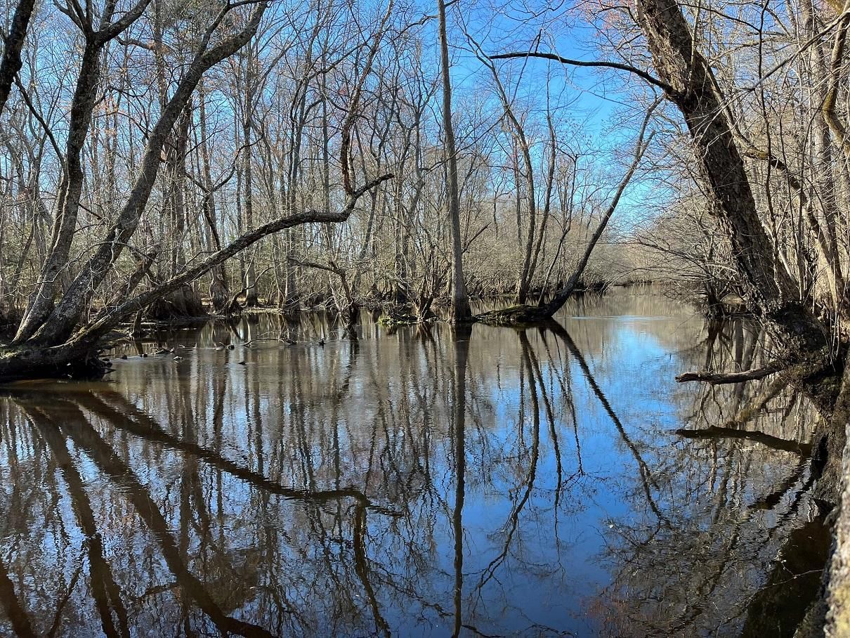 131.6 acres in Stony Creek, VA, 23882 MLS B458 Estella LM Tyus