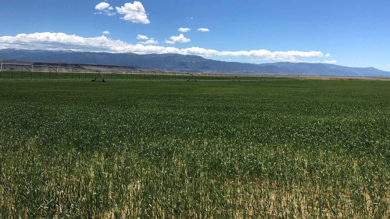 3,878 acres in Enoch, UT, 84721 LandWatch