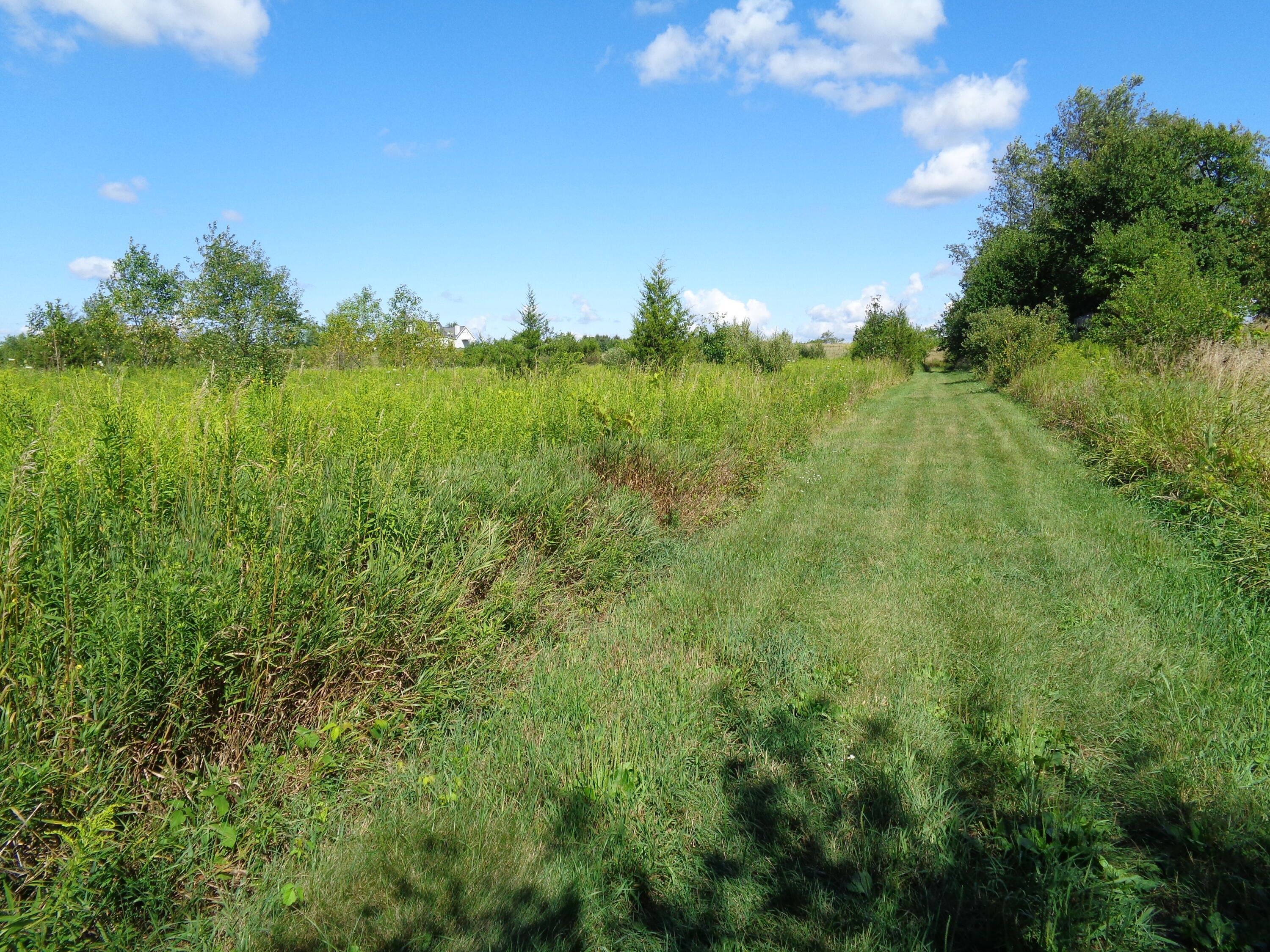 Manchester, Washtenaw County, MI Undeveloped Land for sale Property ID