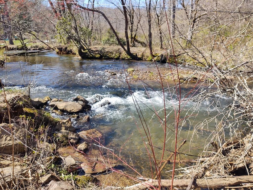Franklin, Macon County, NC Farms and Ranches, Lakefront Property