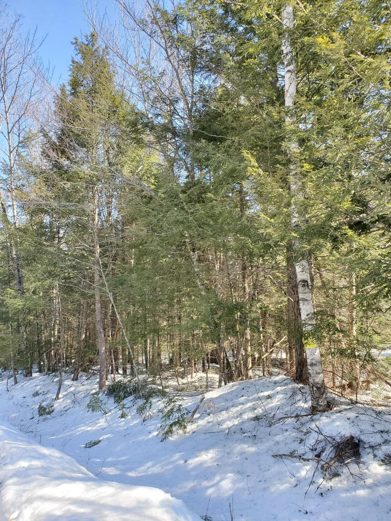 Medford, Piscataquis County, ME Undeveloped Land for sale Property ID