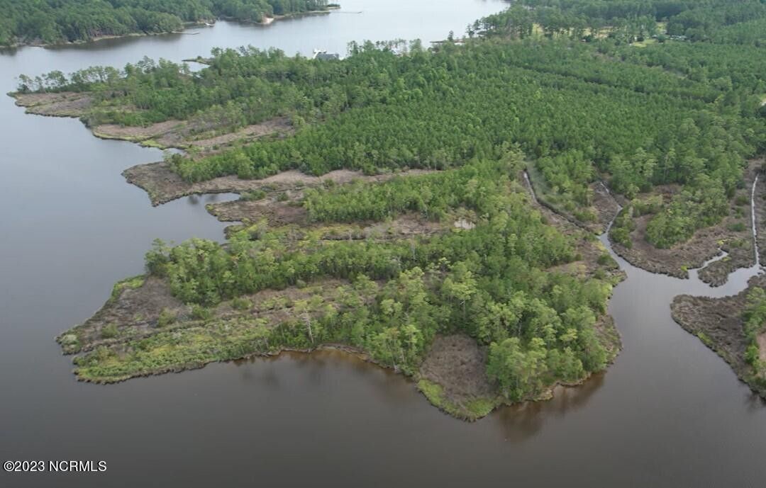 Vandemere, Pamlico County, NC Undeveloped Land for sale Property ID