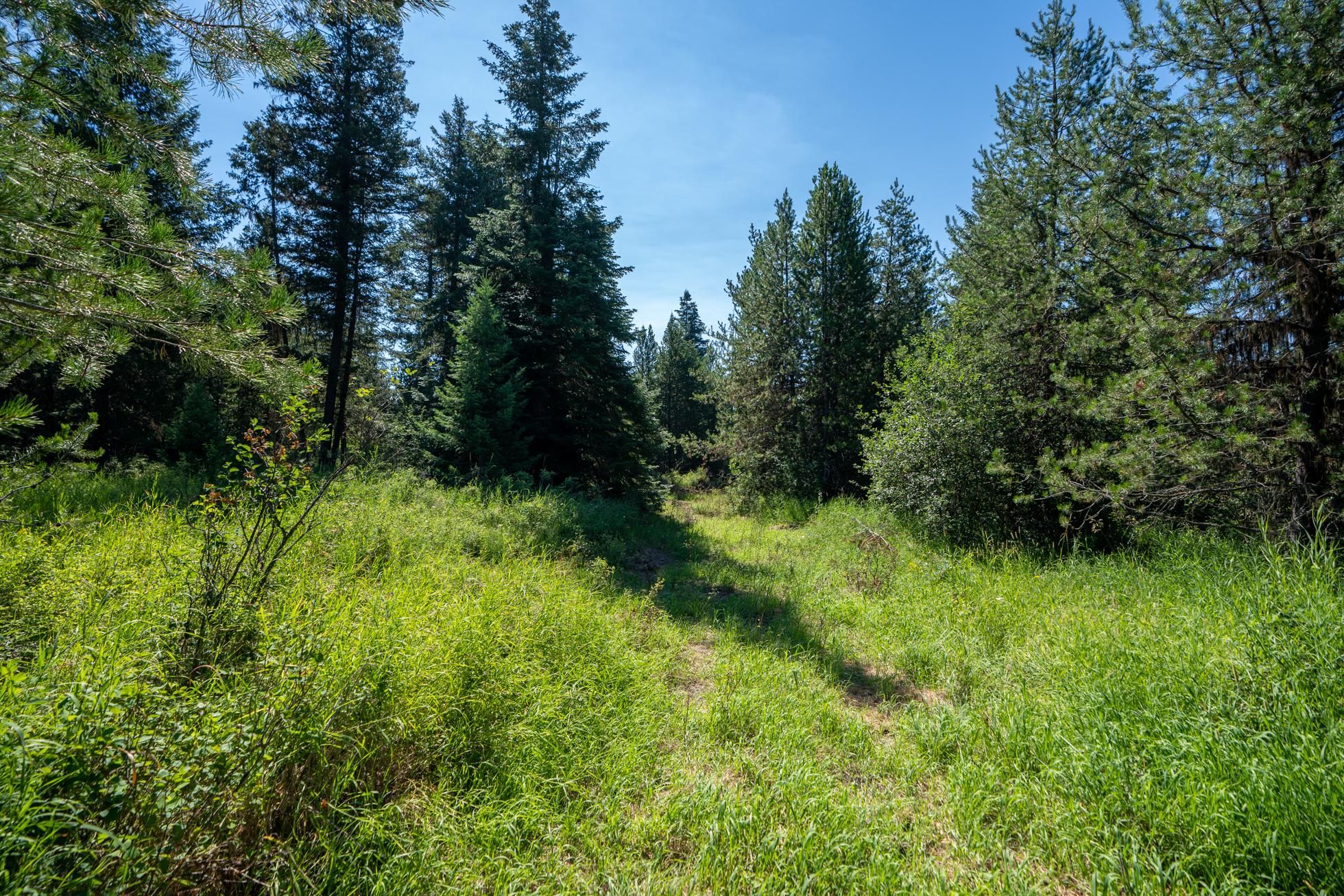 Peterson Point Road, Saint Maries, ID 83861 MLS 231924 LandWatch