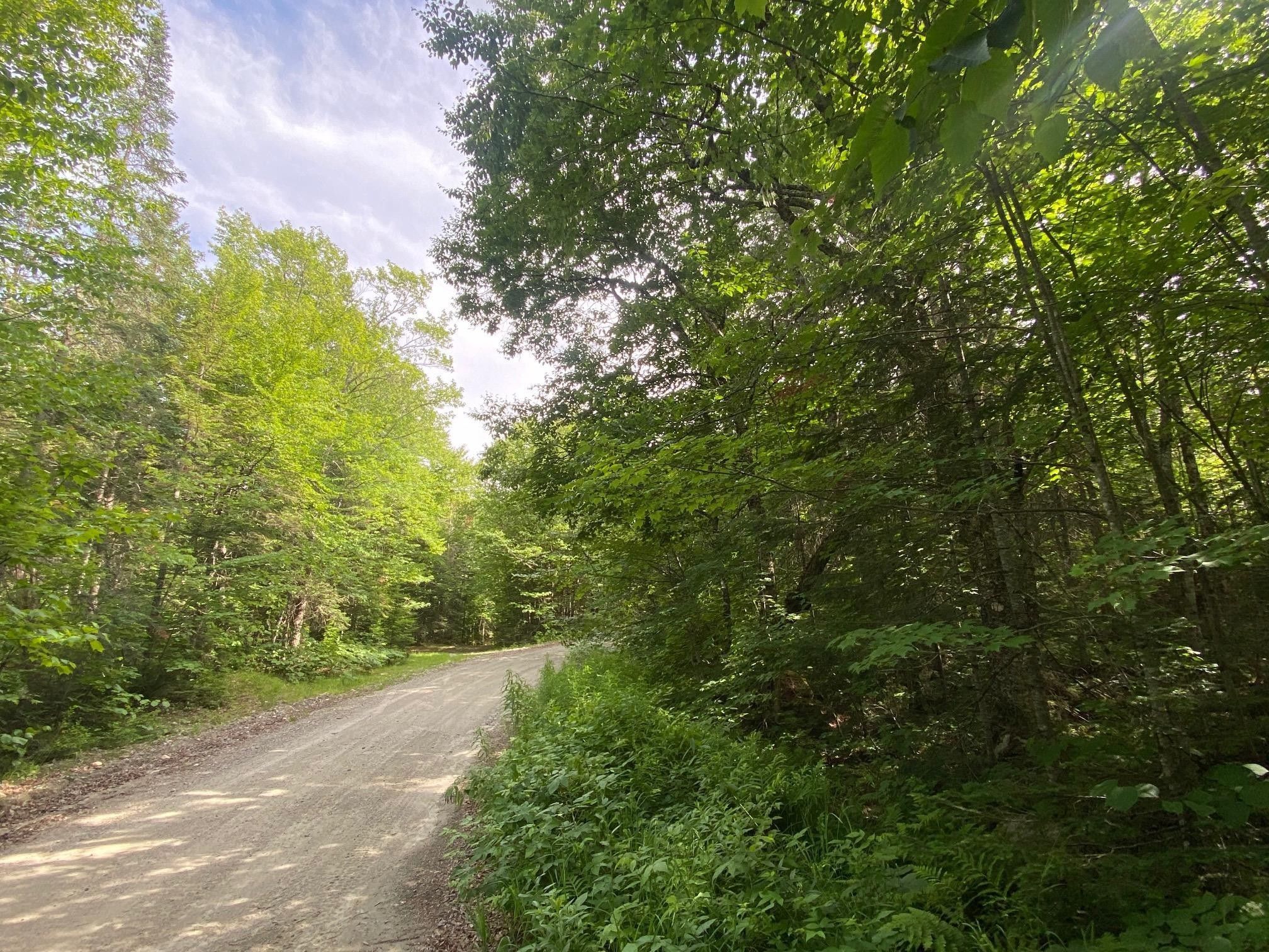 Errol, Coos County, NH Undeveloped Land for sale Property ID 415922620