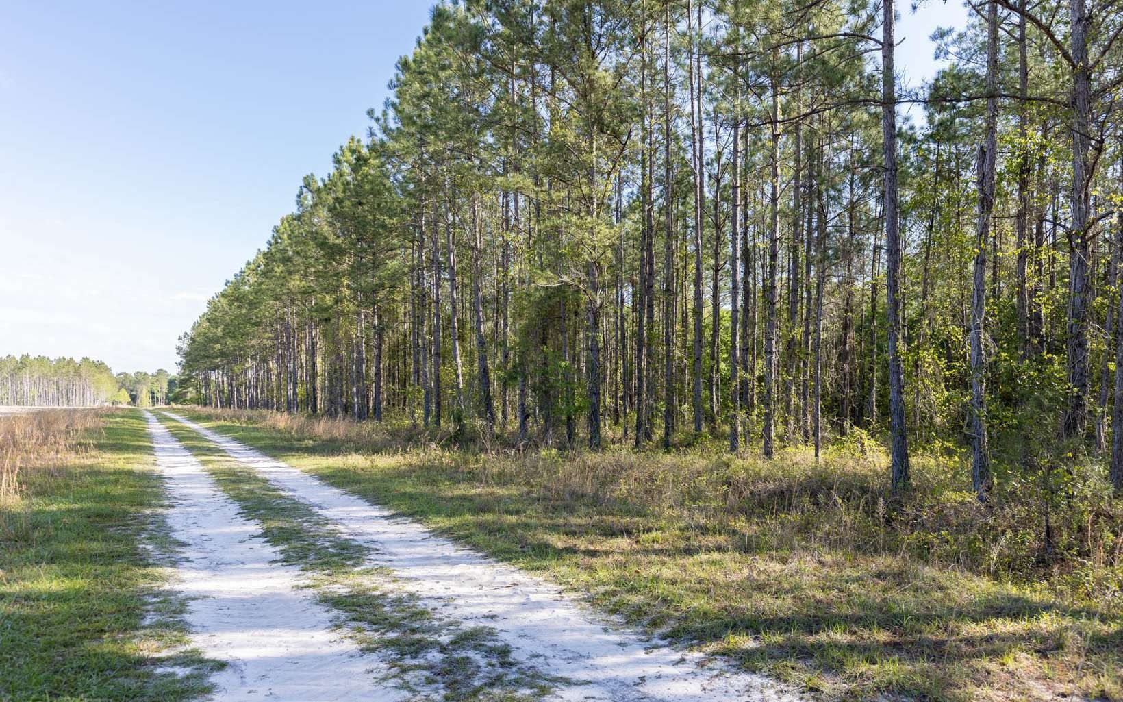 Jennings, Hamilton County, FL Undeveloped Land for sale Property ID