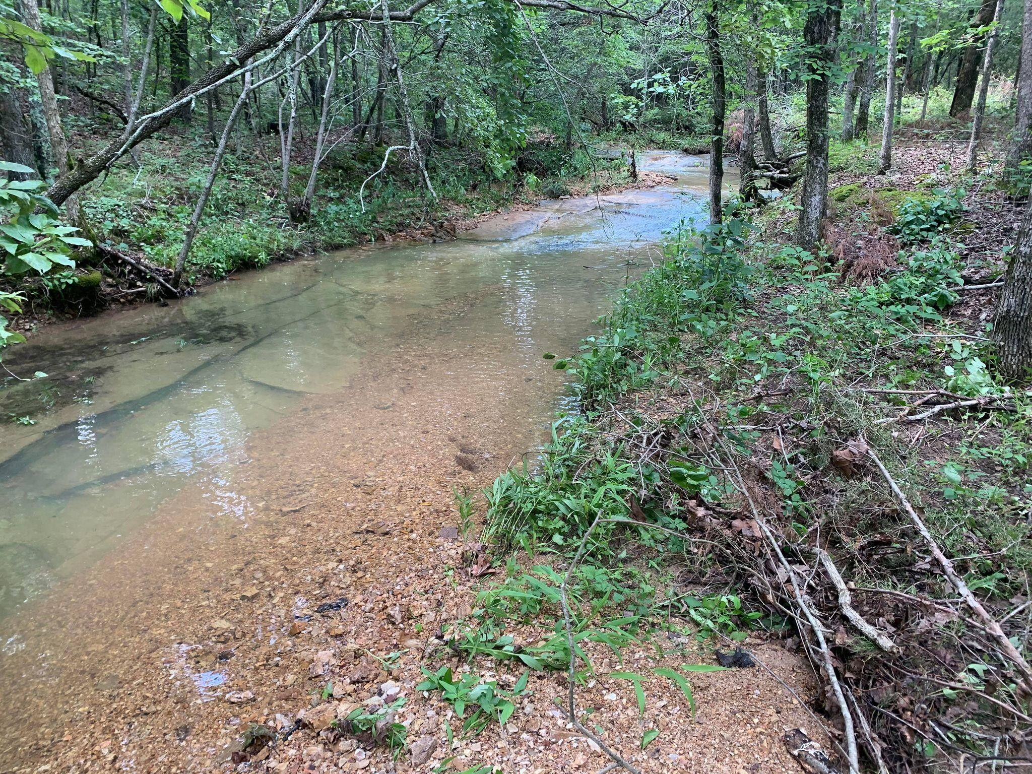 Drury, Douglas County, MO Farms and Ranches for sale Property ID 416081252 LandWatch