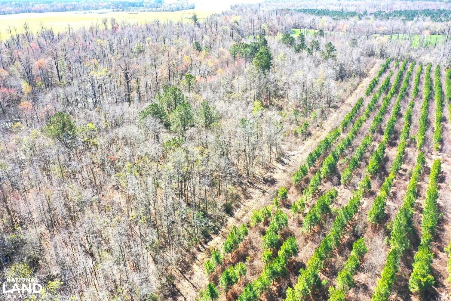 Pink Hill, Jones County, NC Recreational Property, Timberland Property, Hunting Property for